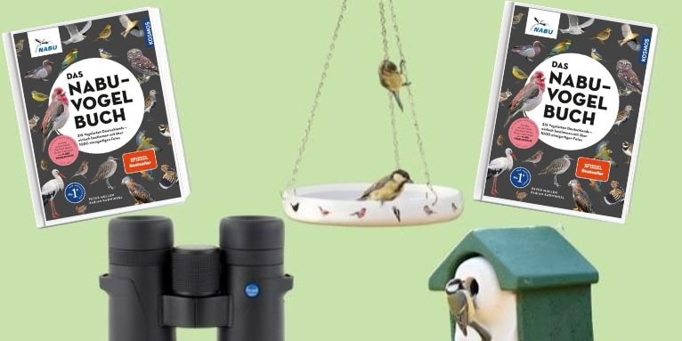 Stunde der Gartenvögel 2024 Gewinnspiel - Collage: NABU