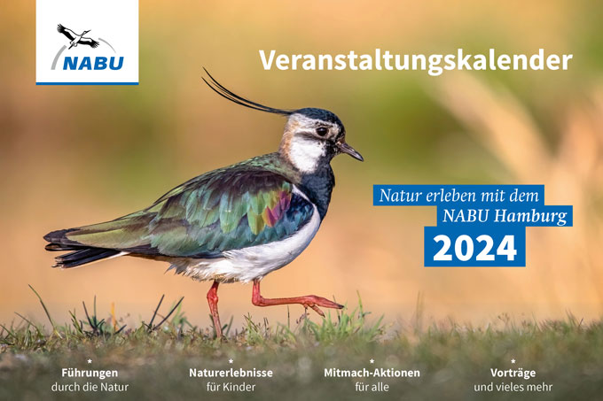 Der Veranstaltungskalender 2024 des NABU Hamburg