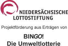logo bingo