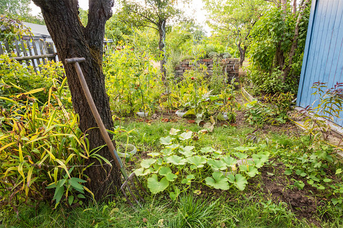 Frühherbstlicher Garten - Foto: NABU/Sebastian Hennigs