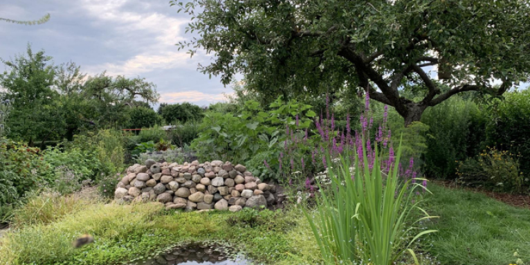 NABU-Garten in Celle - Foto: Felix Krüger