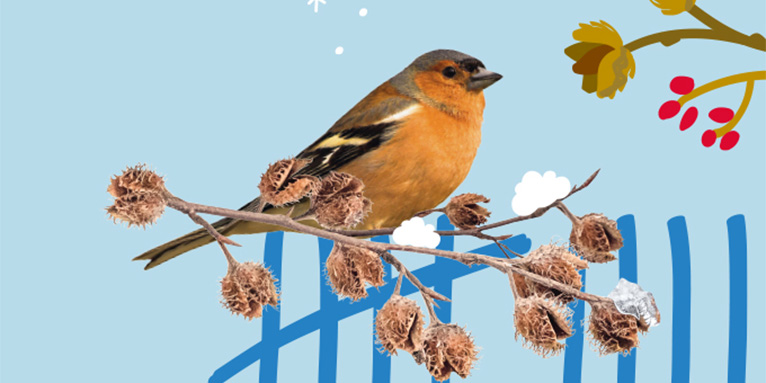 Stunde der Wintervögel - Grafik: NABU