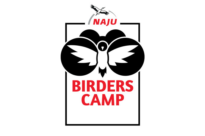 NAJU Birders Camp