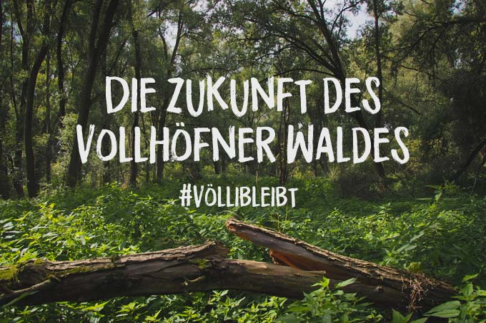 Die Zukunft des Vollhöfner Waldes muss heißen: Völli bleibt!