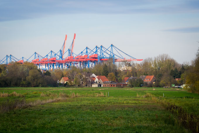 Moorburg mit Grünland vor den Hafenkränen des Containerterminals Altenwerder - Foto: Thomas Dröse