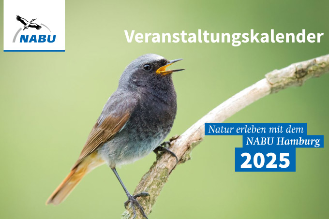 Der Veranstaltungskalender des NABU Hamburg 2025