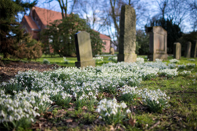 Lebendiger Friedhof - Foto: Thomas Dröse