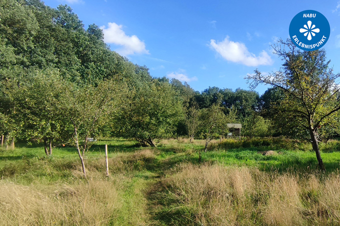 Streuobstwiese am Raakmoor - Foto: Waltraud Schirmer-Vetterlein