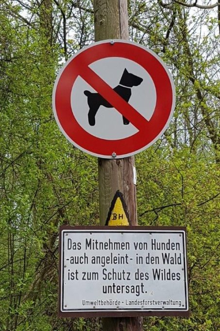 Hunde verboten - Foto: B.Reimer