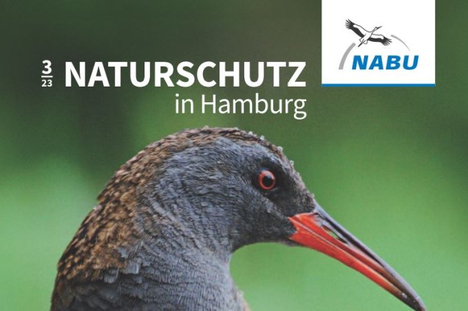 Naturschutz in Hamburg, Ausgabe 3/23