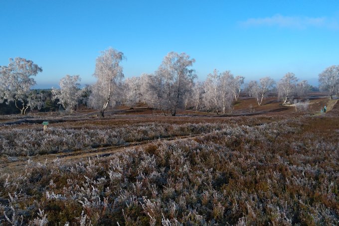 Winterzeit in der Fischbeker Heide,  Foto: P.Boser