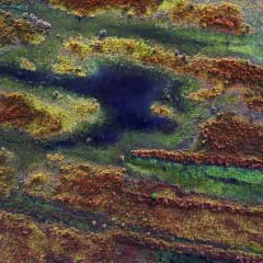 Torf-Tage 2021 - Luftbild Moor - Foto: Volker Gehrmann