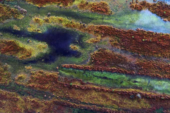 Torf-Tage 2021 - Luftbild Moor - Foto: Volker Gehrmann