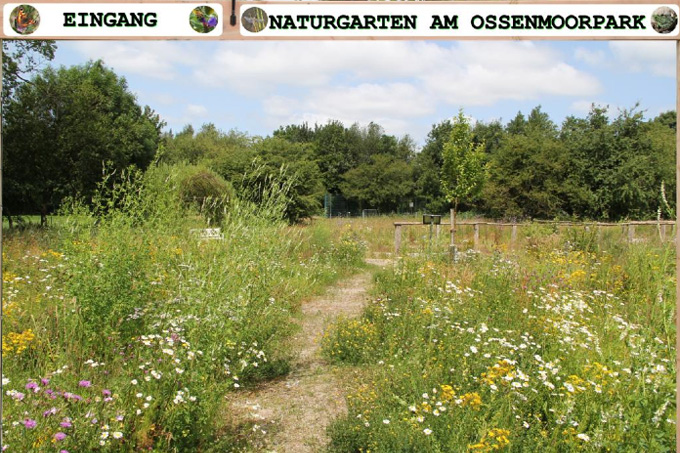 Naturgarten Im Ossenmoorpak
