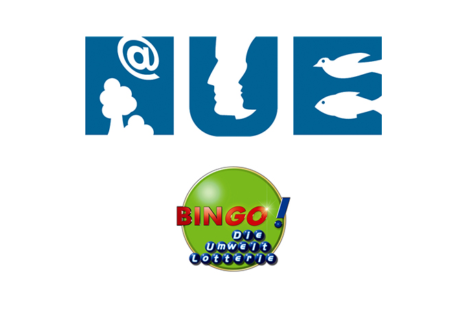 Nue-bingo-logo